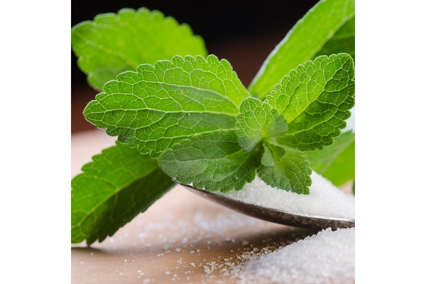 Stevia leaf